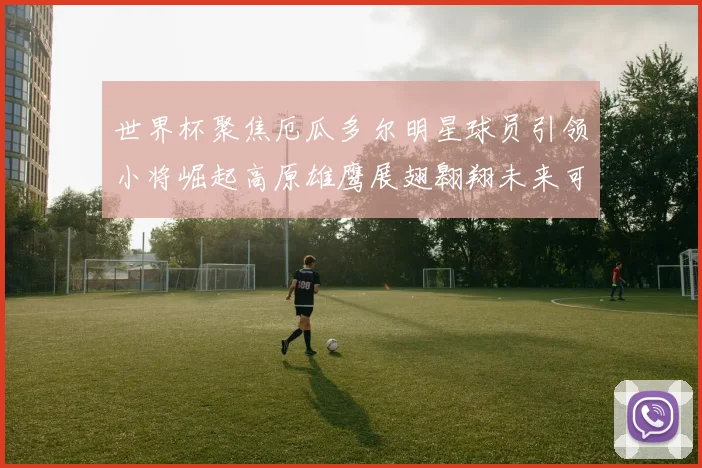 世界杯聚焦厄瓜多尔明星球员引领小将崛起高原雄鹰展翅翱翔未来可期