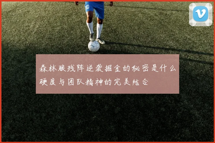 森林狼残阵逆袭掘金的秘密是什么硬度与团队精神的完美结合