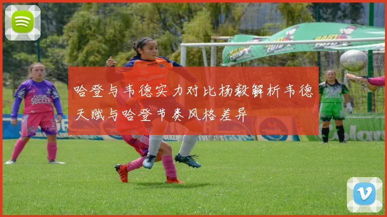 哈登与韦德实力对比杨毅解析韦德天赋与哈登节奏风格差异